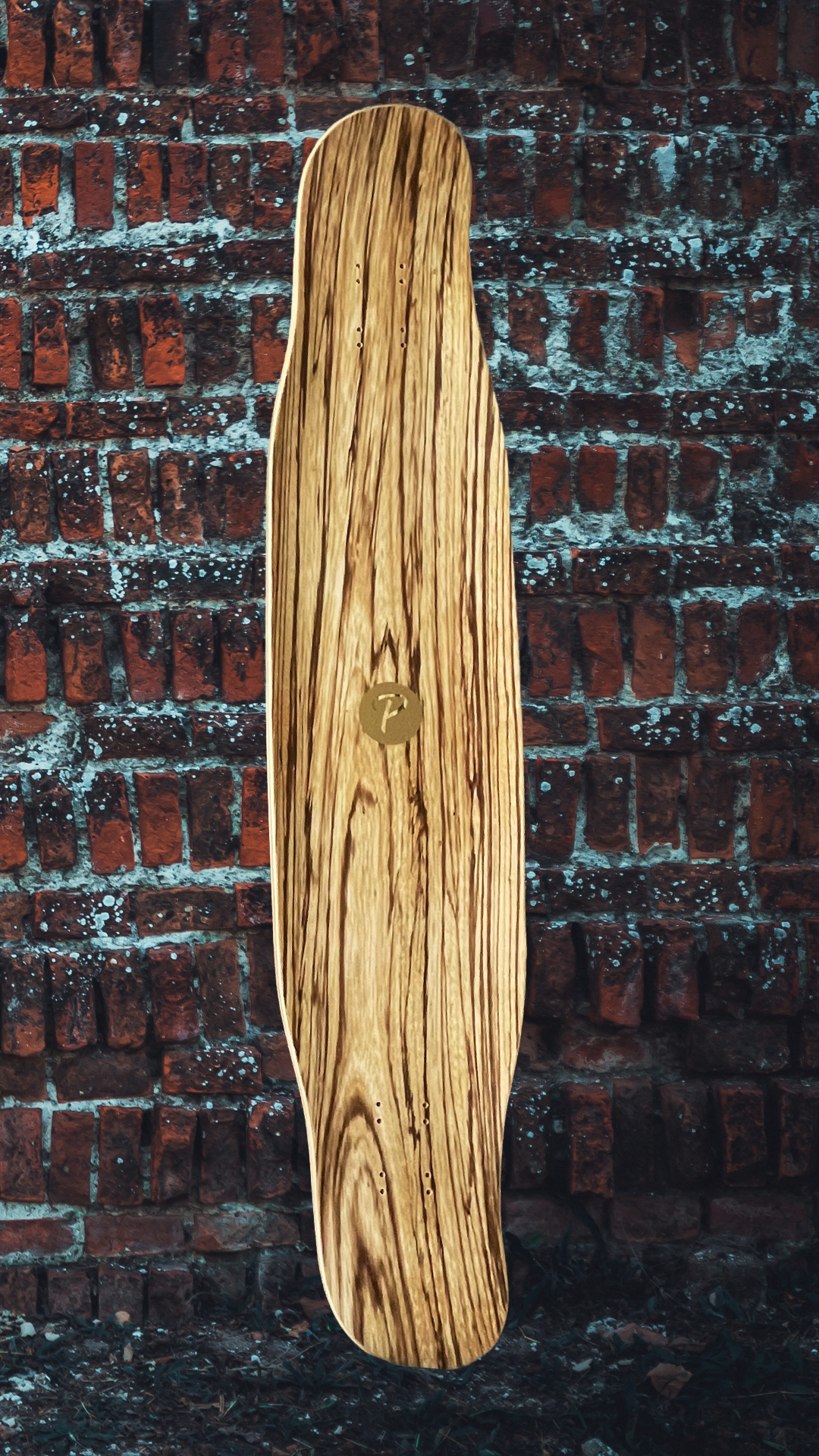 Travelol Place 46 Longboard